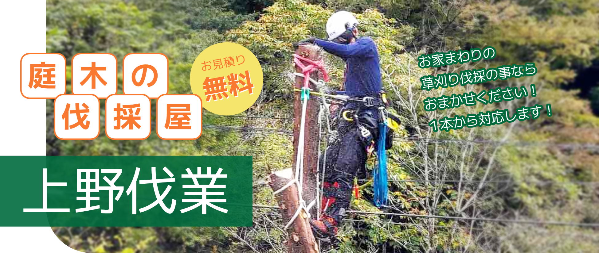 上野伐業